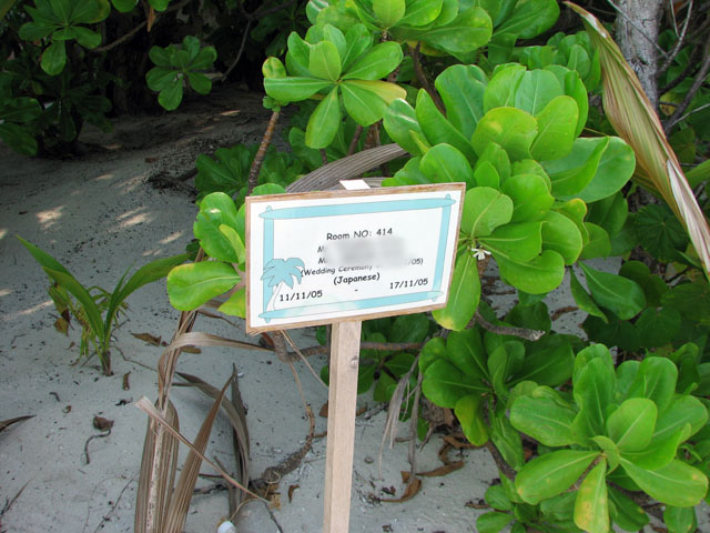 �����L�O��