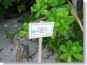 �����L�O��