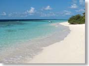 �������r�[�`