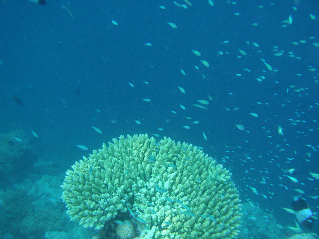 �X��ƃh���b�v�I�t