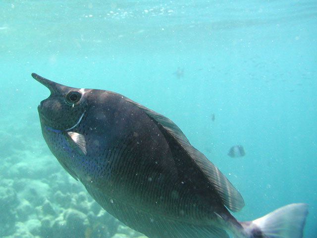 �@�̒�����