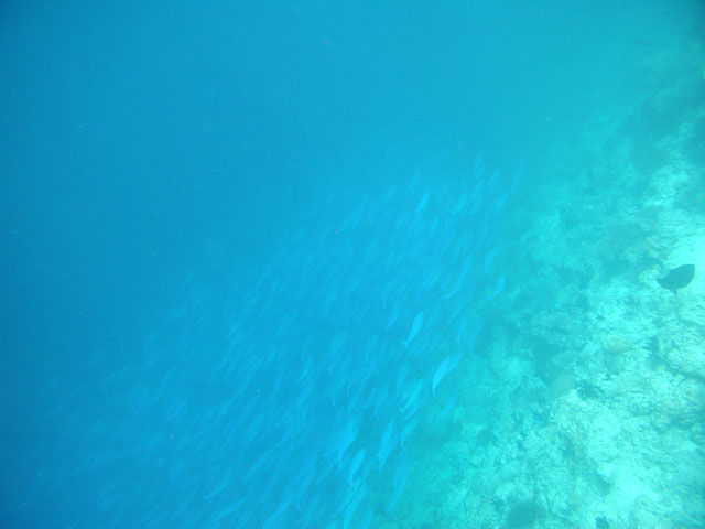 �����̑�Q