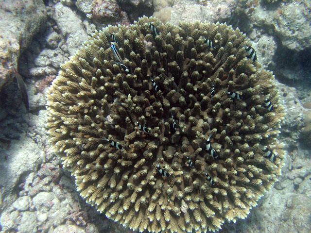 �^�ォ�猩���X��