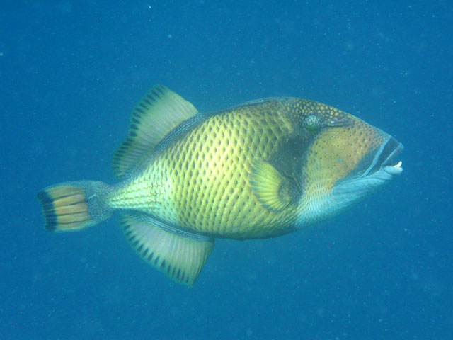 �S�}�����K��