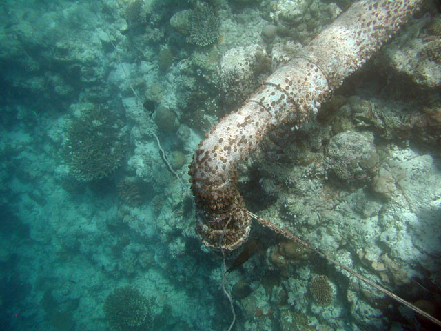 �r���p�C�v�H