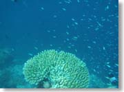 �X��ƃh���b�v�I�t