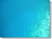 �����̑�Q