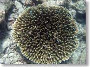 �^�ォ�猩���X��