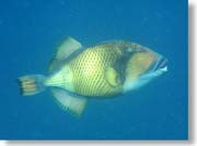 �S�}�����K��