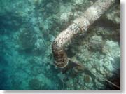 �r���p�C�v�H