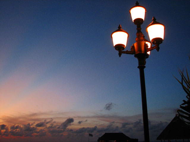 ���C�g�Ɨ[�Ă�