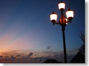 ���C�g�Ɨ[�Ă�