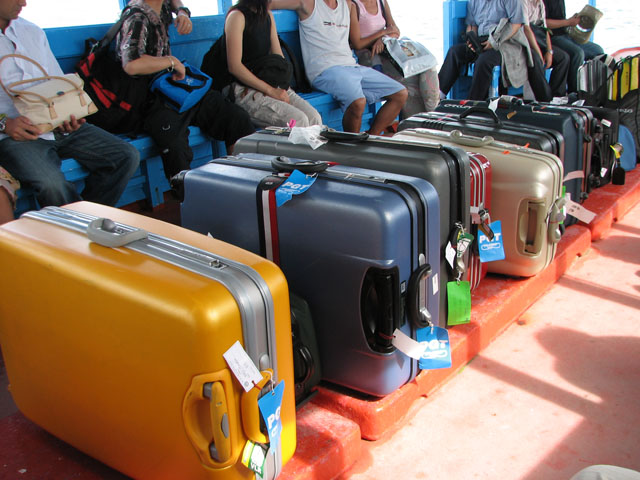 �h�[�j�[�̒��̃X�[�c�P�[�X