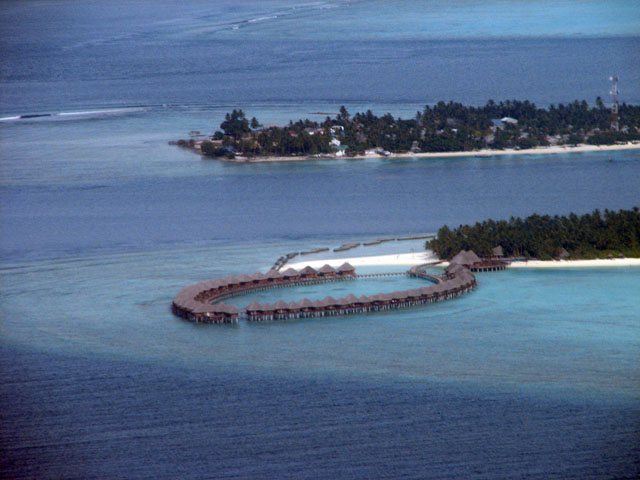 ���B�����[�t�O��