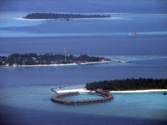 ���B�����[�t�A�~�[�h�[���A���F���[���@��