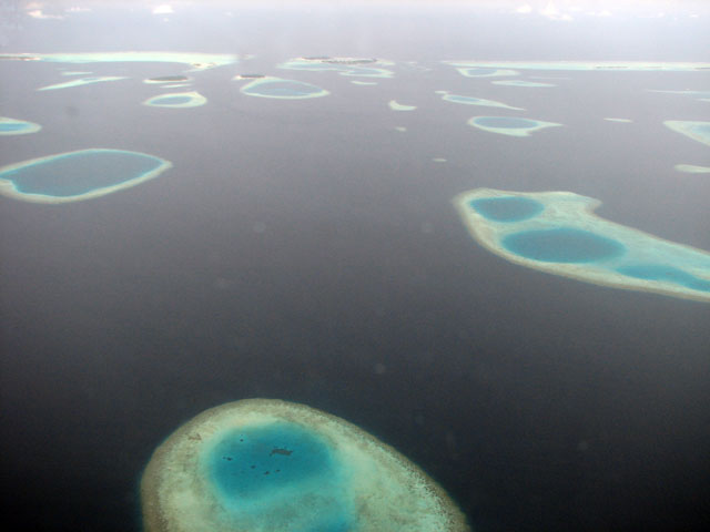 �R�R�A�E�A�C�����h�Ȃ�