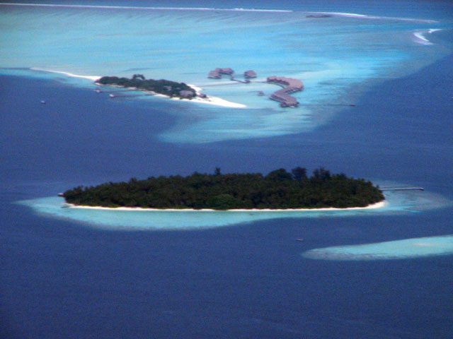 �R�R�A�E�A�C�����h