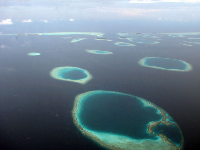 �R�R�A�E�A�C�����h�Ȃ�