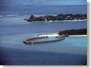 ���B�����[�t�O��