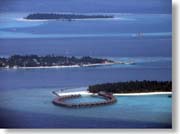 ���B�����[�t�A�~�[�h�[���A���F���[���@��