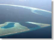 �E��Ƀ��q���F���E�r�[�`�E���]�[�g