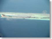 �I���x���E�r�[�`���X�p�E���]�[�g