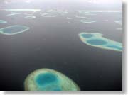 �R�R�A�E�A�C�����h�Ȃ�