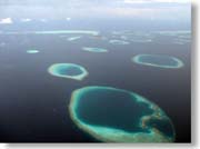 �R�R�A�E�A�C�����h�Ȃ�