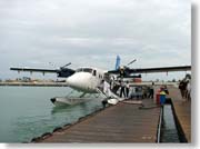 �����s�@