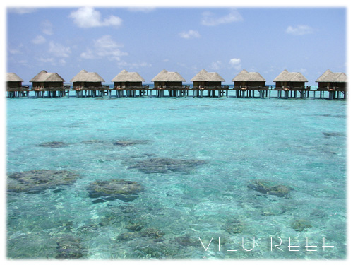 �����f�B�u2006�ʐ^