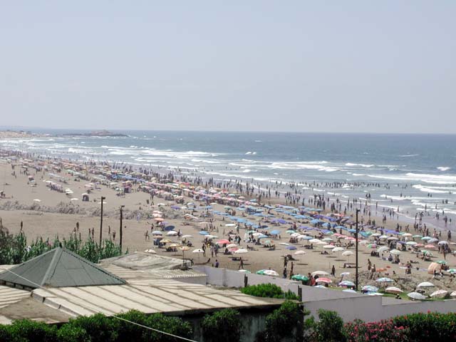 �R���j�b�V���r�[�`