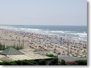 �R���j�b�V���r�[�`