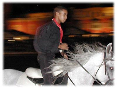 �n�ŋ삯������N(24.7kb)