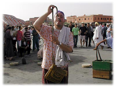 �w�r��H�ׂ�w�r�g��(33.3kb)