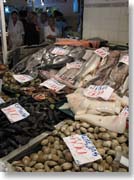 �����(�����s��)