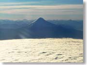 �`���x�m�ƌĂ΂��I�\���m�R