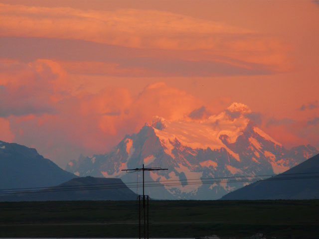 �������猩���p�C�l