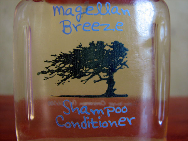 �V�����v�[