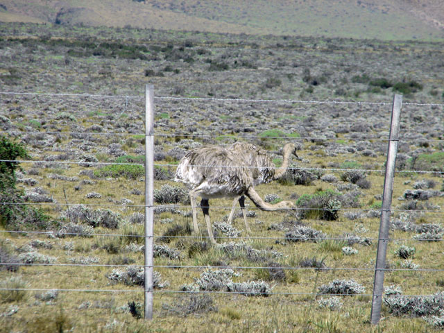 �j�����h�D�i�_�[�E�B�����A�j