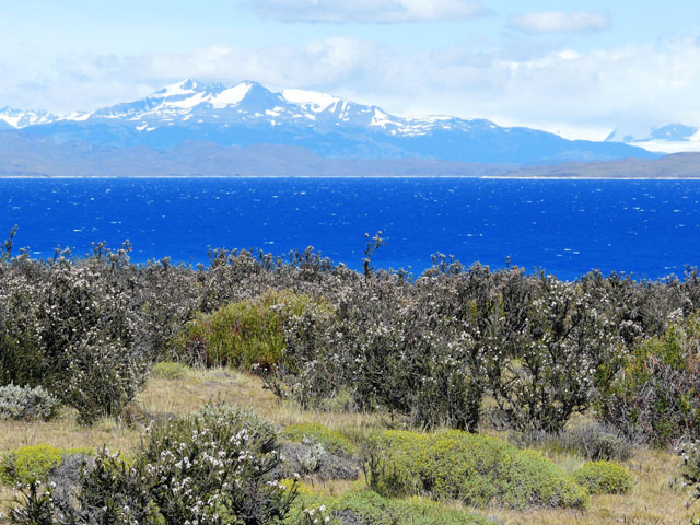 �T���~�G���g��