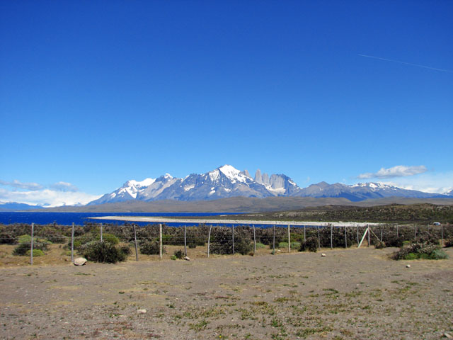 �p�C�l�U�i���C�h�j