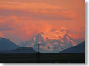 �������猩���p�C�l