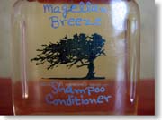 �V�����v�[