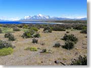 �p�C�l�P�i���C�h�j