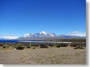 �p�C�l�U�i���C�h�j