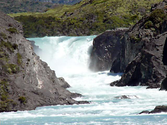 �T���g�E�O�����f