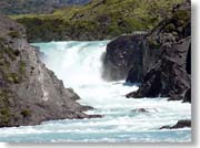 �T���g�E�O�����f