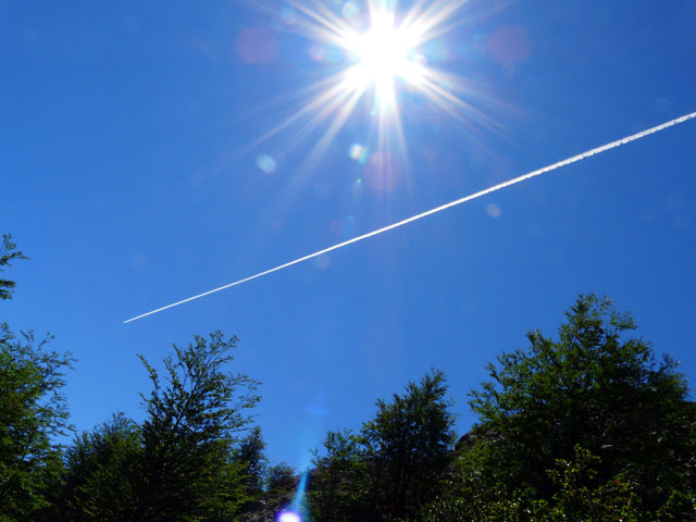 ���z�Ƌ�̔�s�@�_