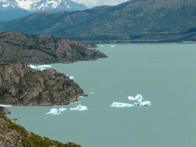 �O���C�΂ɕ����ԕX