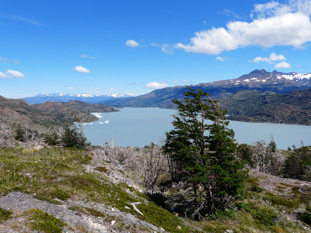 �O���C��